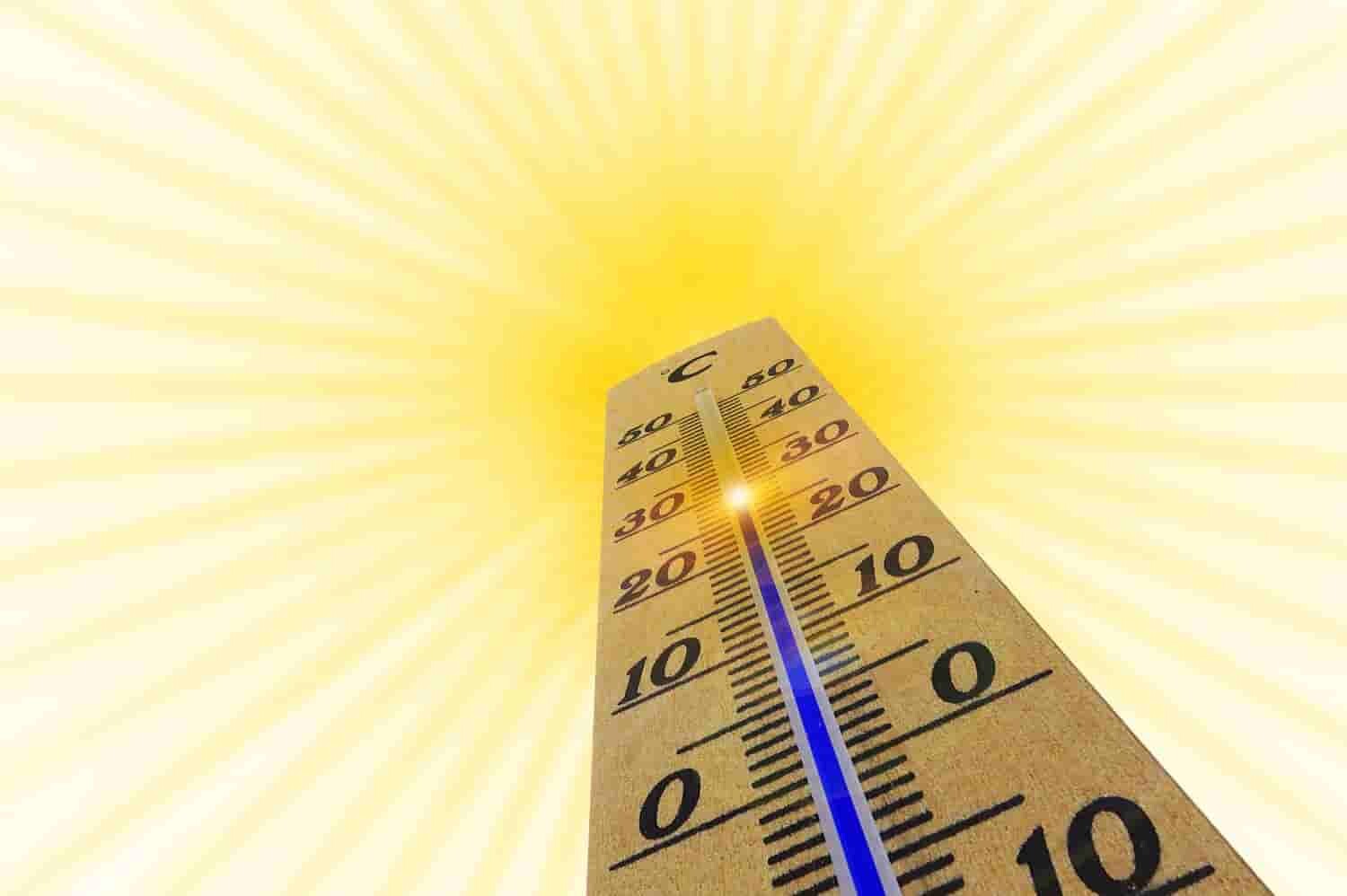 Temperature Settings for Gummy Makers